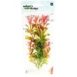 Natures Design Red Ludwigia Medium - 9" Natures Design Red Ludwigia Medium - 9"