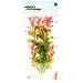 Natures Design Red Ludwigia Medium - 9"