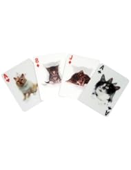 Toy: 3-D Cat Playing Cards - UnAssigned