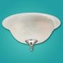 Hunter 28300 12'' Bowl Light Fixture, Antique Brass Finish Swirled Marble