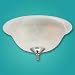 319jaH5rtvL. SL75  T86 8   Thomas Lighting Ceiling Fan Light Kit