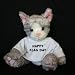 Search : Plush Stuffed Cat (Kit Kat) toy with Happy Flag day t-shirt
