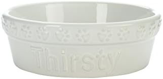 Signature Pets Embossed Bones Pet Bowl, Thirsty, X-Small, White