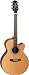 Takamine EG260C FXC Cutaway Acoustic-Electric Guitar - Natural
