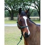 Rope Halter with Lead Average Hunter Green