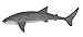 Safari Ltd. Whale Shark Figurine - Lifelike 9.25