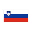 Slovenia Flag 4ft x 6ft Nylon