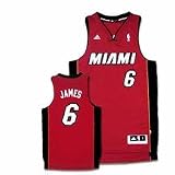 NBA Youth Miami Heat LeBron James Swingman Alternate Jersey  (Garnet, Large)