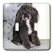 Dogs Poodle - Black and white Toy Poodle - Light Switch Covers - double toggle switch