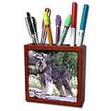Dogs Schnauzer - Schnauzer - Tile Pen Holders-5 inch tile pen holder