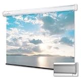 Projector Screen Manual 100"