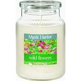 Yankee Candle Co 1160790 Mystic Harbor Jar Candle (Pack of 6)