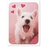 White Fluffy Dog Valentine Cards with Scripture - Pkg. Of 10