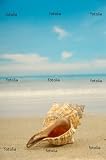 'Conch Shell On Beach' Wall Decal - 16"W x 24"H Removable Graphic