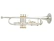 Vento 500 Series Model 5310 Bb Silver Student Trumpet