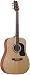Washburn D10SZ Acoustic Guitar (Zebrawood)