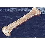 10.5 Inch Pressed Bone 5 Count