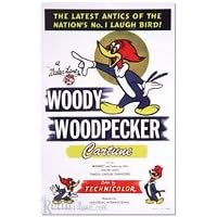 Woody Woodpecker Cartune Movie Poster