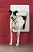 Sporting Goods : PetSafe Electronic Smart Dog Large Door