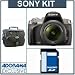 Sony (alpha) A330, 10.2 MP DSLR Camera/ Lens Kit, with 18-55mm SAM Lens, 8GB SD Memory Card, Lowepro Camera Case,