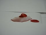 Tupperware Exclusive Gelatin Mold Red & White 319qDvv582L. SL160 Tupperware Exclusive Gelatin Mold Red & White