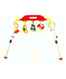 Mother's Choice Baby's Activity Rattle Play-Gym - one color, one size