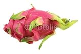 Wallmonkeys Peel and Stick Wall Decals - Pitahaya Dragon Fruit - 24"W x 16"H Removable Graphic