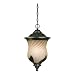 Westinghouse 69524 Byberry Three-Light Exterior Hanging Pendant, Marbleized Bronze Finish with Champagne Mist Globe