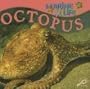 Octopus (Marine Life Discovery Library)