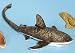 Thresher Shark 24 Puppet Plush Stuffed Animal Toy