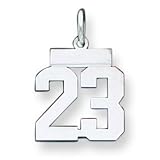 Sterling Silver Small Polished Number 23 with 20 inch Sterling Silver Chain