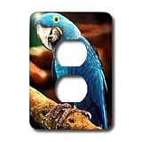 Birds - Hyacinth Macaw - Light Switch Covers - 2 plug outlet cover