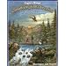 Eagle's Wings Considering God's Creation (A Creative Biblical Approach to Natural Science)