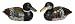 Mallard ducks - hand painted stone ( set of 2 )