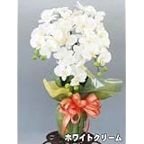 ���i�̏ڍ�