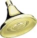 KOHLER K-10284-AF Forte Multifunction Showerhead, Vibrant French Gold