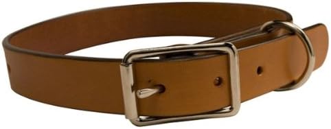 Tandy Leather Dog Collar Kit 1" up to 26" Neck 44710-03
