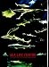 Sea Life Centre (Souvenir Guide) at Amazon Books: 319sirVph3L._SL75_