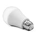 SELS LED A19 60-Watt Equivalent LED Light Bulb, E26 Standard Base, Daylight (3 Pack)