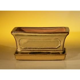 Bonsai Boy's Ceramic Bonsai Pot With Attached Humidity/Drip tray- Rectangle6.37" x 4.75" x 2.625"