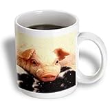 Farm Animals - Piglets - Mugs