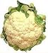 Snowball Cauliflower Self Blanching Seeds 600 Seeds