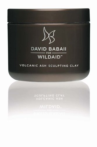David Babaii For Wild Aid Volcanic Ash Sculpting Clay, 4-Ounce Tub