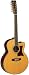 Tanglewood 12-String Super Jumbo Acoustic Guitar with Solid Cedar Top and Mahogany Back & Sides Light Amber Satin Finish (TW55-12-NS-E)