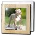 Dogs Pitbull - American Pit Bull Terrier - Tile Napkin Holders