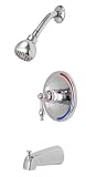 Premier 120137 Wellington Single-Handle Tub & Shower Faucet, Chrome