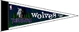 Minnesota Timberwolves Official Mini 10