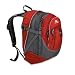 319td4DeSAL. SL75  SwissGear SA1908 ScanSmart Backpack in Black