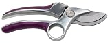 Ames True Temper 2353000 Bypass Pruner with 5/8 Inch Cutting Capacity 319tgAmwLJL. SL160 Ames True Temper 2353000 Bypass Pruner with 5/8 Inch Cutting Capacity