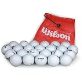 Wilson Bulk Double Dozen with Free Shag Bag